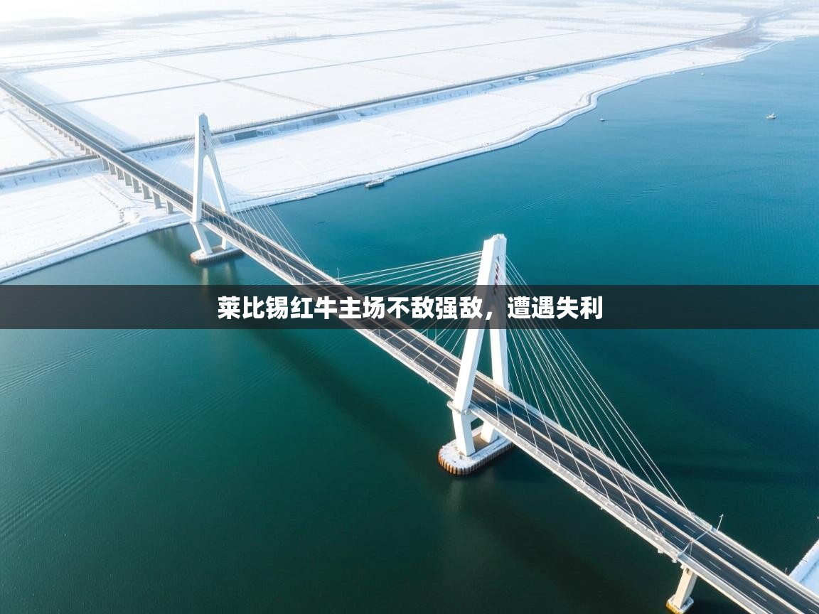 云开体育app登录入口-莱比锡红牛主场不敌强敌,遭遇失利 第1张