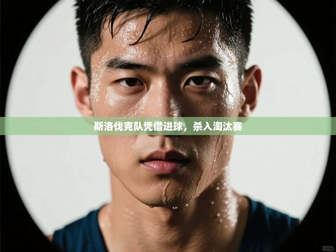 开云体育消息订阅关闭-斯洛伐克队凭借进球，杀入淘汰赛  第1张