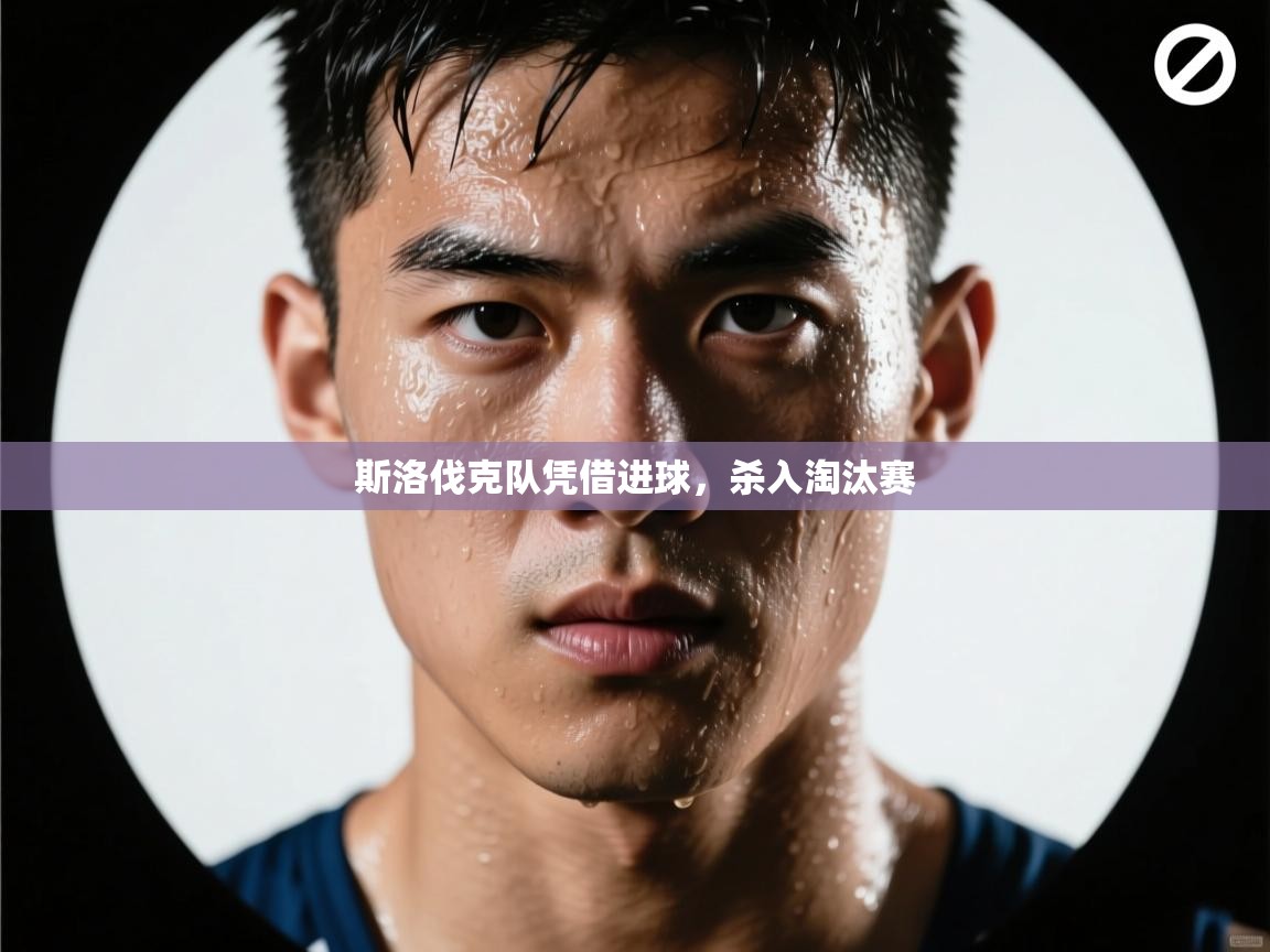 开云体育消息订阅关闭-斯洛伐克队凭借进球，杀入淘汰赛  第3张