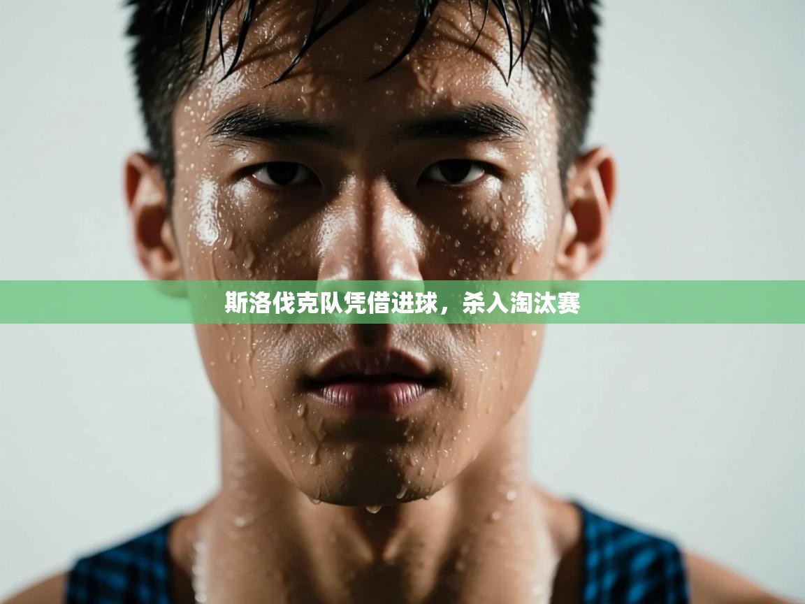 开云体育消息订阅关闭-斯洛伐克队凭借进球，杀入淘汰赛  第4张