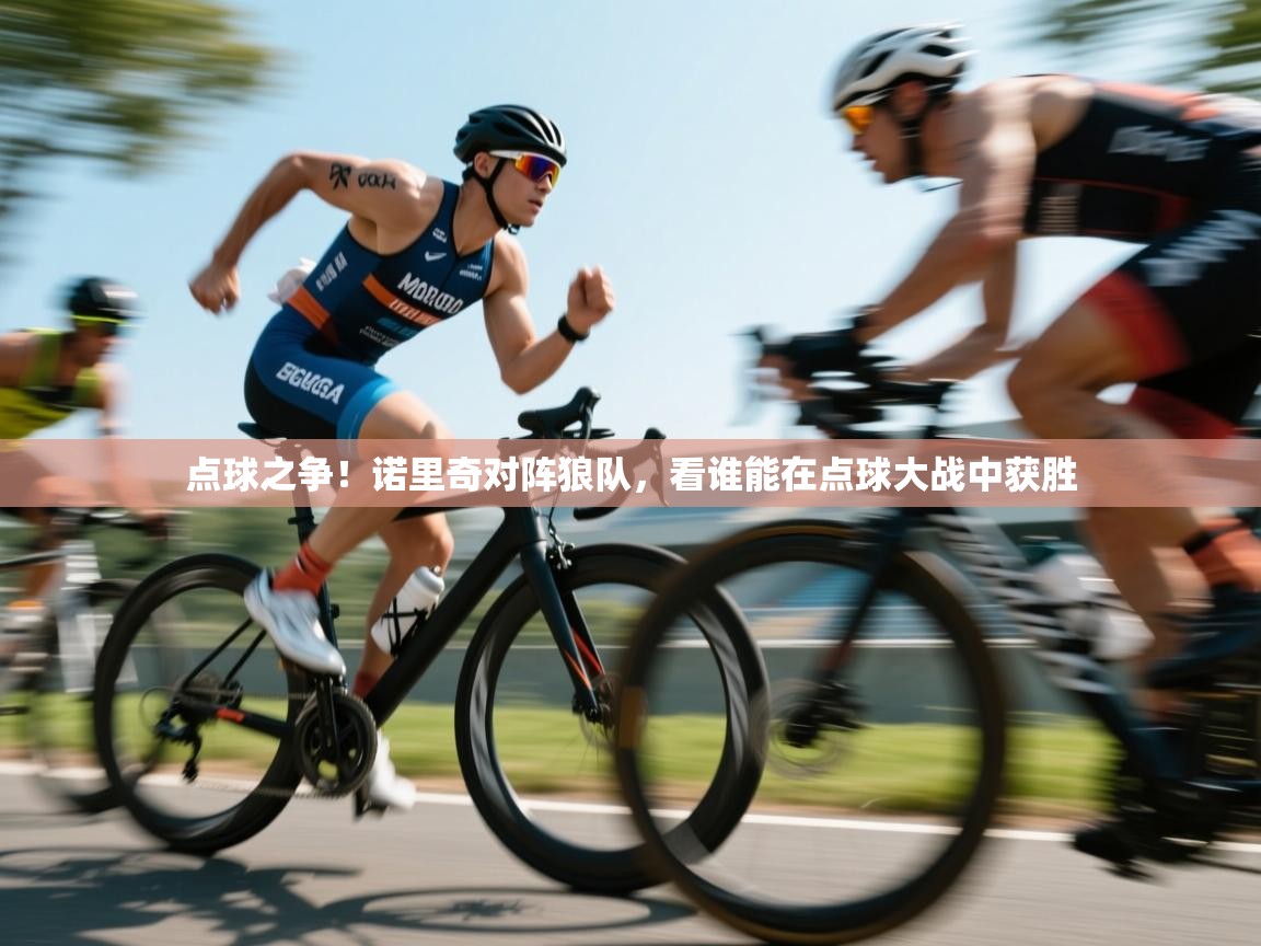 开云体育app网页版入口-点球之争！诺里奇对阵狼队，看谁能在点球大战中获胜  第3张