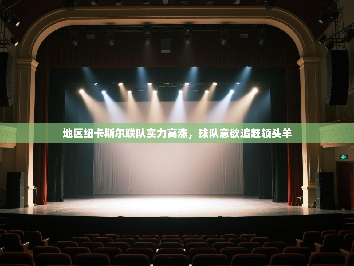 开云体育注册下载-地区纽卡斯尔联队实力高涨，球队意欲追赶领头羊  第2张