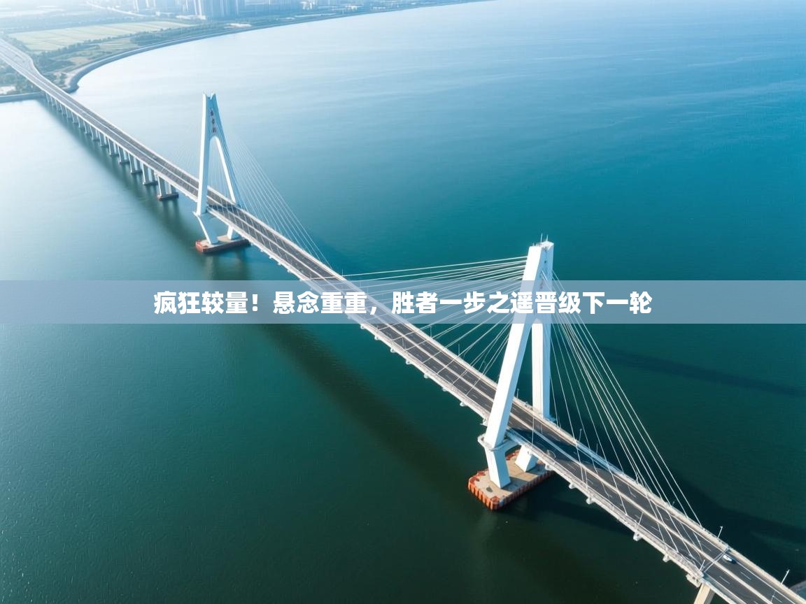 开云体育app官网-疯狂较量！悬念重重，胜者一步之遥晋级下一轮  第1张