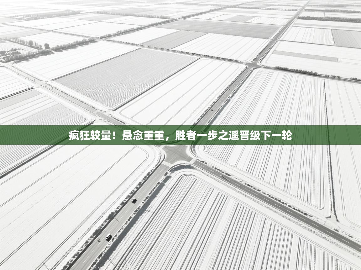 开云体育app官网-疯狂较量！悬念重重，胜者一步之遥晋级下一轮  第2张