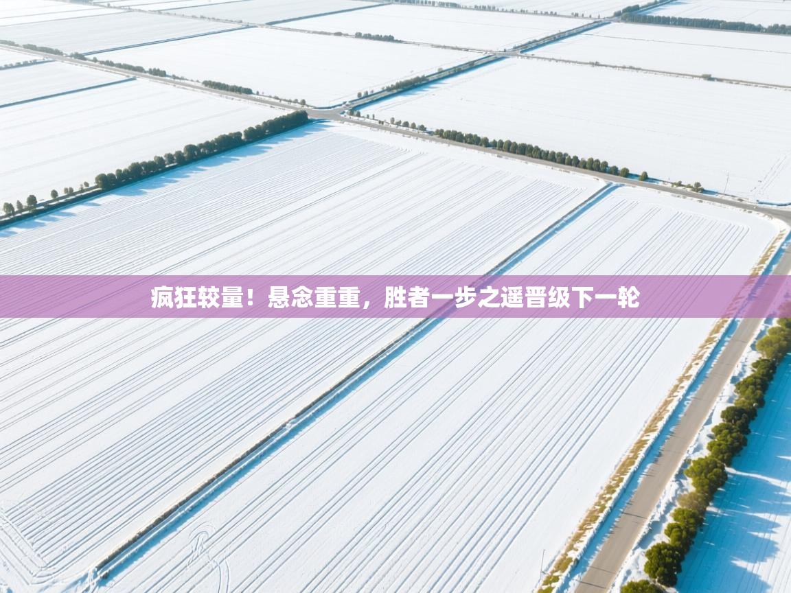 开云体育app官网-疯狂较量！悬念重重，胜者一步之遥晋级下一轮  第3张