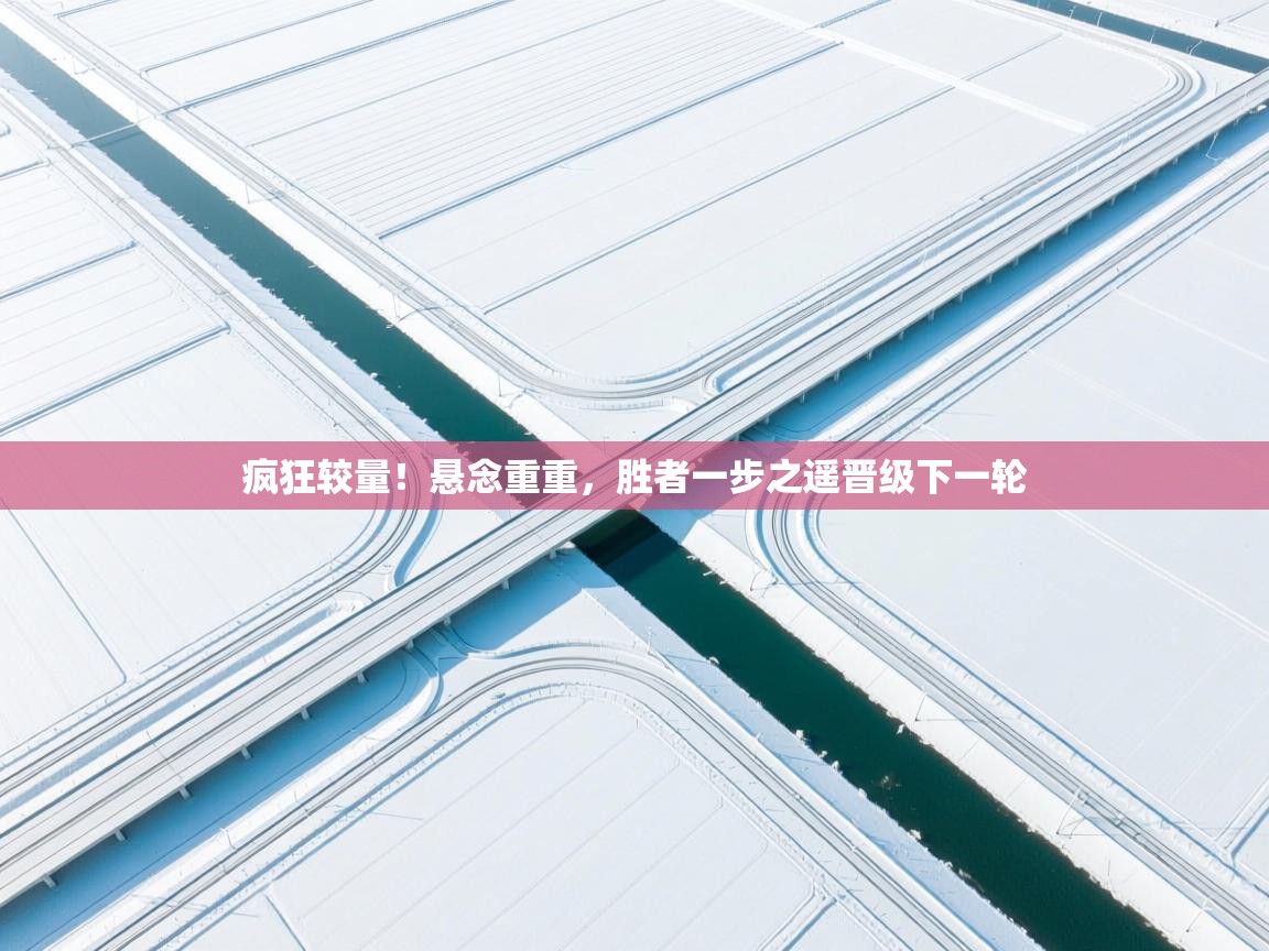 开云体育app官网-疯狂较量！悬念重重，胜者一步之遥晋级下一轮  第4张