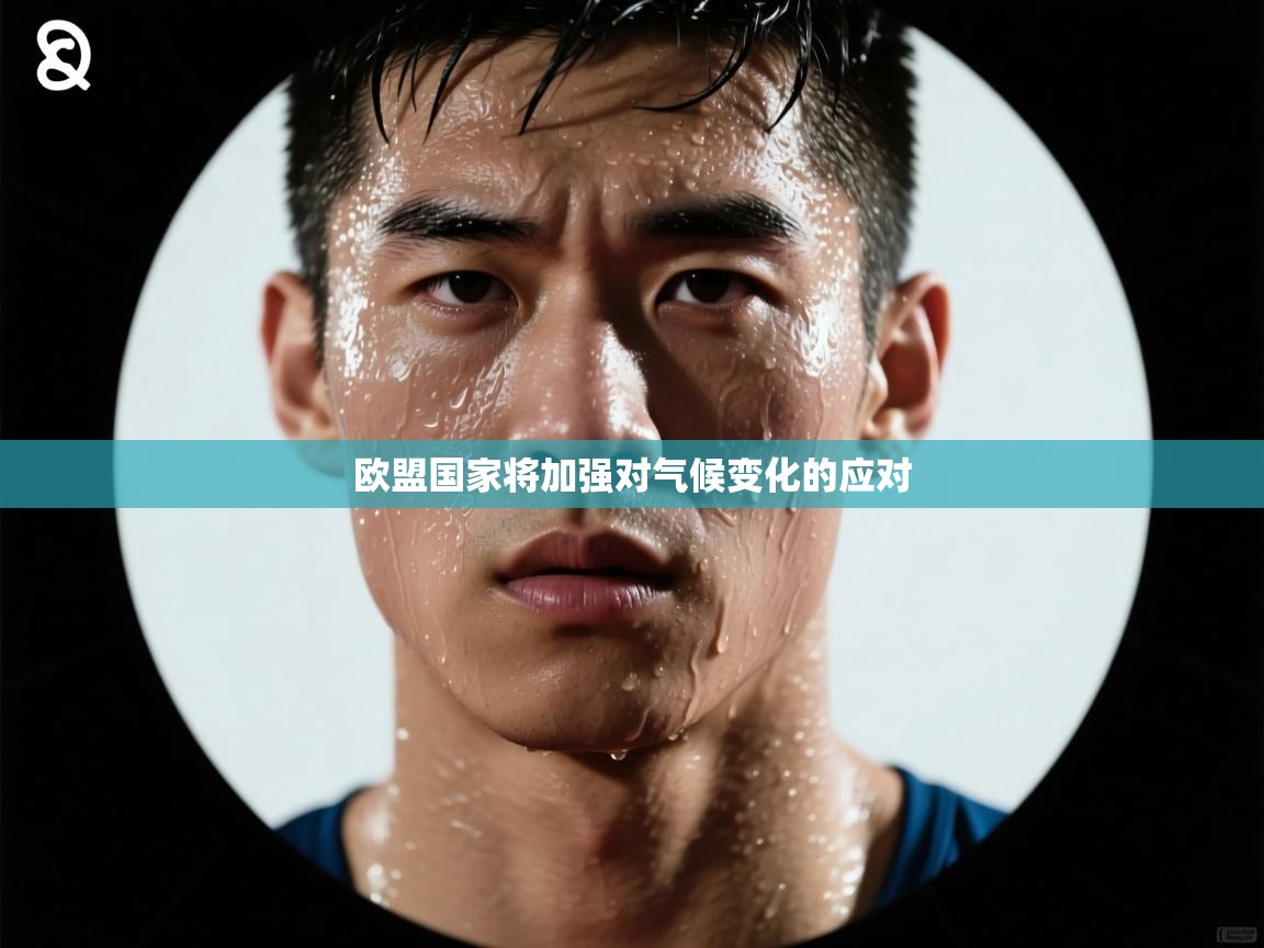 开云体育在线登入-欧盟国家将加强对气候变化的应对 第2张