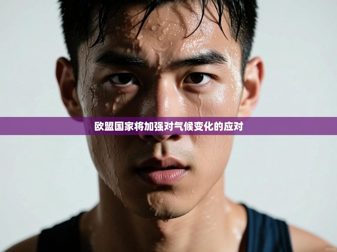 开云体育在线登入-欧盟国家将加强对气候变化的应对 第3张