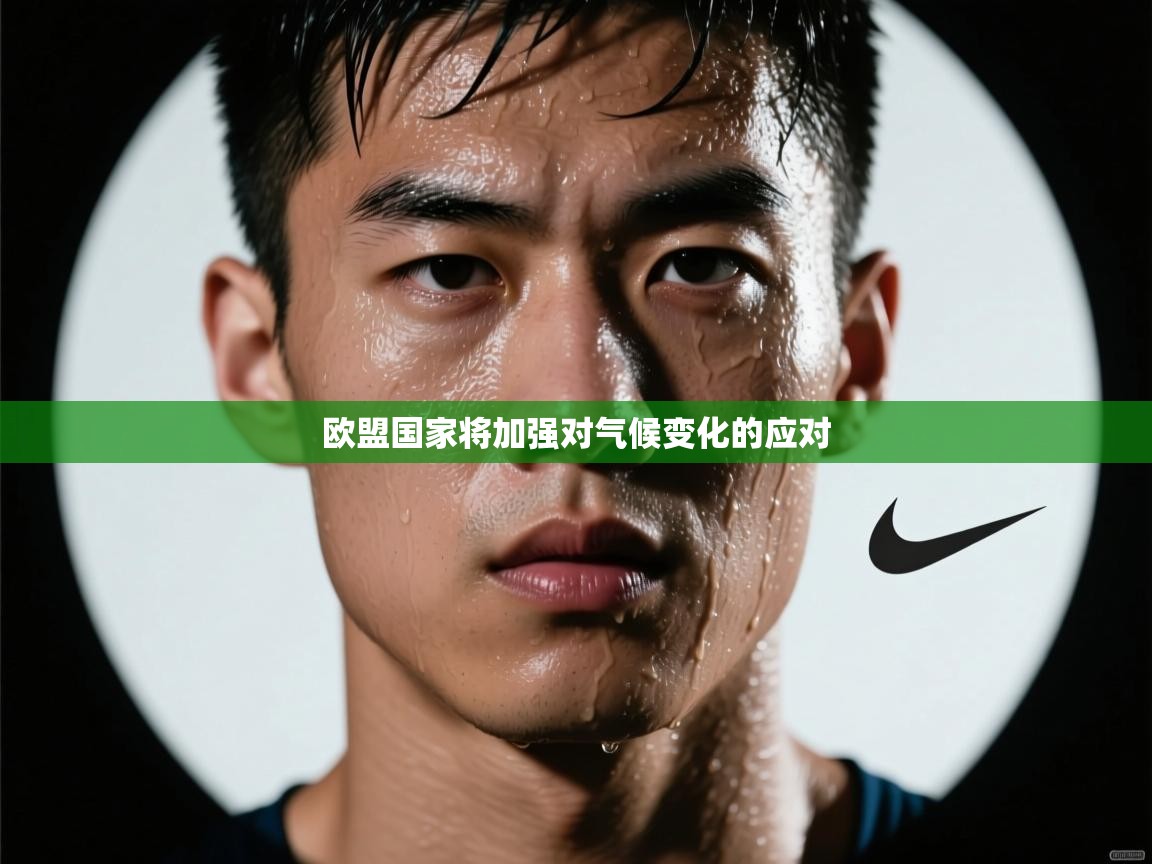 开云体育在线登入-欧盟国家将加强对气候变化的应对 第4张