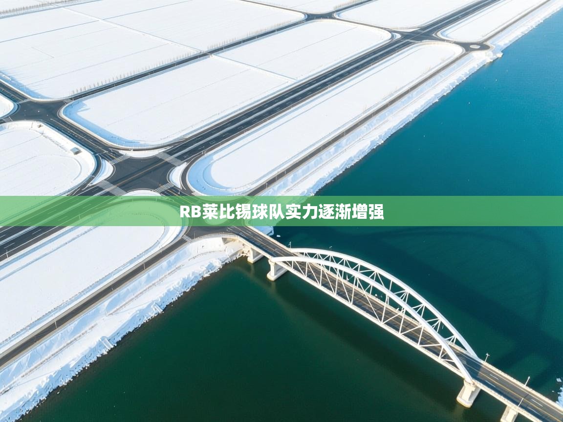 开云登录-RB莱比锡球队实力逐渐增强 第2张